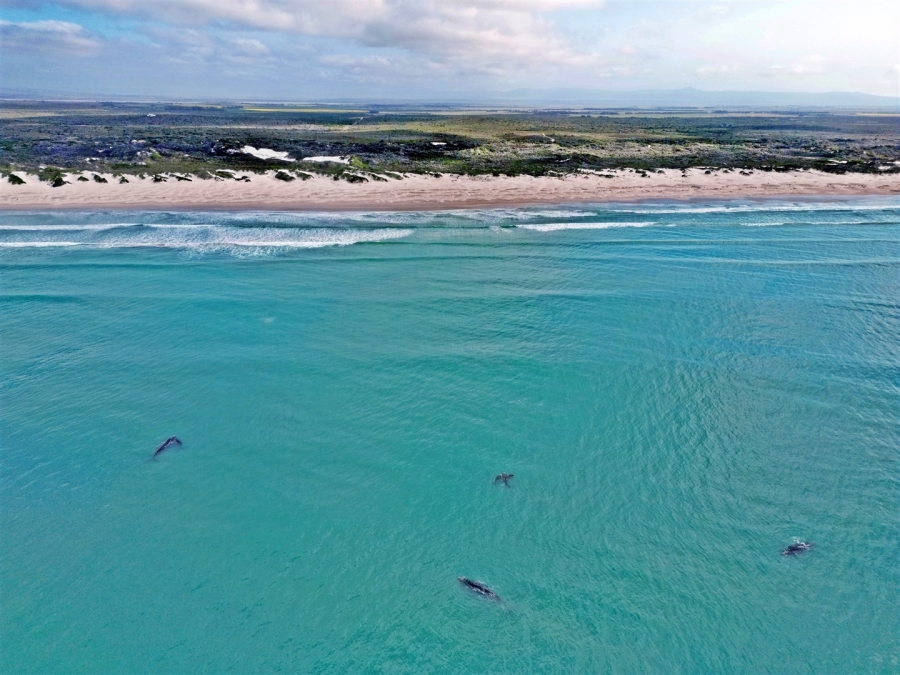 0 Bedroom Property for Sale in Struisbaai Western Cape